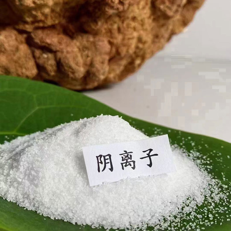 陰離子聚丙烯酰胺